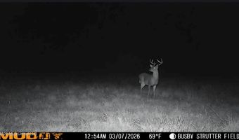 U.S. Highway 51, Bogue Chitto, MS 39629