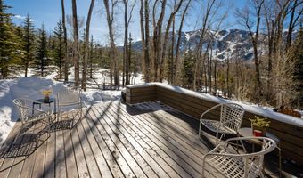 1036 Red Mountain Rd, Aspen, CO 81611