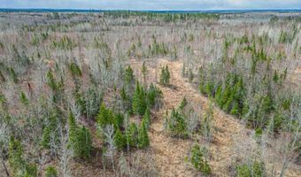 11448 Hwy 22, Angora, MN 55703