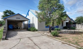304 E Ave B, Alpine, TX 79830