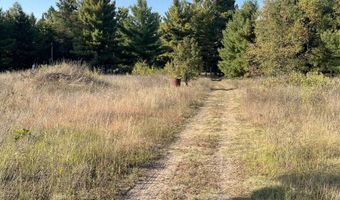 5235 Greenwood Rd, Alger, MI 48756