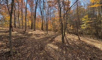 9- D Richmond Hwy, Amherst, VA 24521