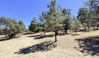 146 Antler Dr Lot 115A, Alto, NM 88312