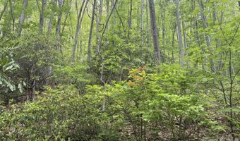 999999 Harwood Rd 2, Barnardsville, NC 28709