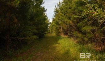 Flowers Road, Bay Minette, AL 36507