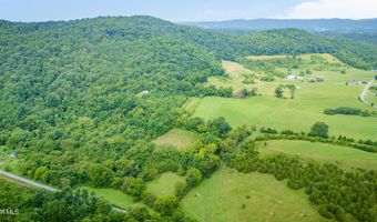 1385 Betsy Ross Rd, Afton, TN 37616