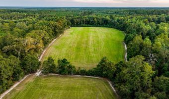 100 Acres Harmony Church Rd, Andalusia, AL 36421