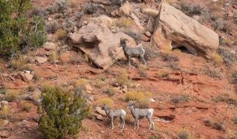 E Rnch Rd, Apple Valley, UT 84737