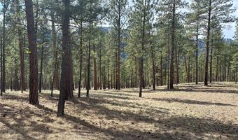 31760 HWY 10 W, Alberton, MT 59820