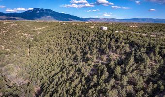 0 Canyon Of The Woods Off Hondo Seco Rd, Des Moines, NM 87514
