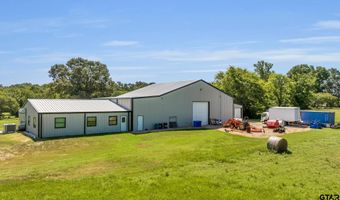 365 CR 1534, Alba, TX 75410