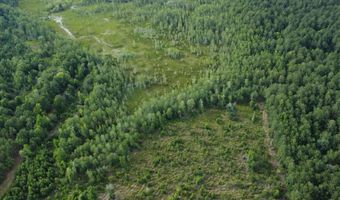 Goldenrod Drive, Barnwell, SC 29812