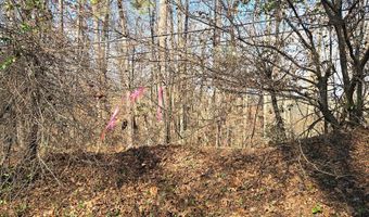 00001 Hwy 369, Ball Ground, GA 30107