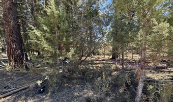 Lot 12 Whitetail Lane, Bonanza, OR 97623