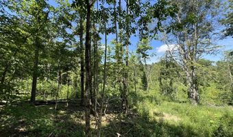 3772 E New Roe Rd, Adolphus, KY 42120