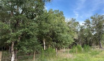 SE BROWN ROAD, Arcadia, FL 34266