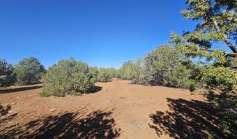 21 Co Rd 8032 # 8032, Concho, AZ 85924