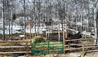 775 N 4700 E, Ashton, ID 83420