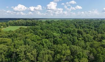 E River Road, Anguilla, MS 38721