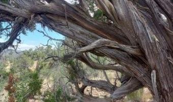37400 N Big View Trl, Ash Fork, AZ 86320