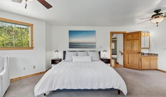 366 Quartzville Rd, Alma, CO 80420
