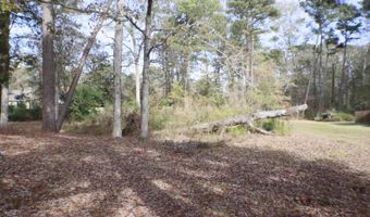 1074 Halton Ct, Brandon, MS 39047