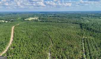 Penny Morris Road, Baxley, GA 31513