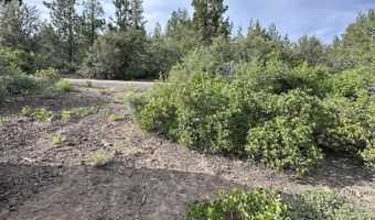 Porpoise Lane Lot 29, Bonanza, OR 97623