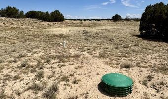 17 COUNTY ROAD N8034 185, Concho, AZ 85924