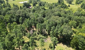 80 N4130 Rd, Antlers, OK 74523