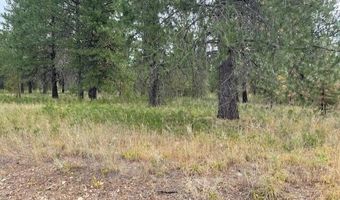 Lot 4 Sheep Springs Rd, Athol, ID 83801