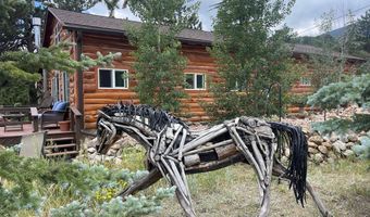 23 2nd Ave, Allenspark, CO 80510