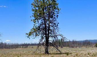 White Birch Lane lot 4, Bly, OR 97622