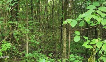 Shady Lane, Big Sandy, TN 38221