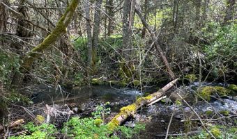 Buckhorn Springs Rd, Ashland, OR 97520