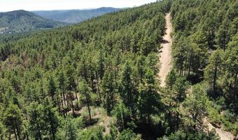 190 Jackalope Dr, Bayfield, CO 81122