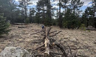 636 Mountain Center 35-0002, Mountain Center, CA 92561