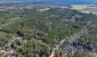 00 Hadwin Rd, Bamberg, SC 29003