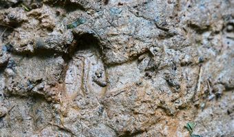 Airport Rd lot 0, Bassett, VA 24055