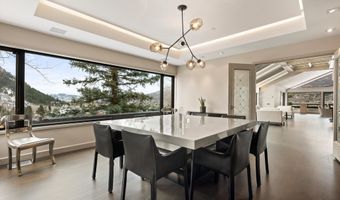 730 S Galena St, Aspen, CO 81611