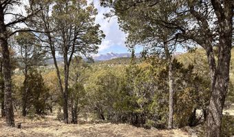 375 State HWY 220 Lot 0, Alto, NM 88312