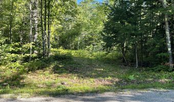 Birch View Drive lot # 0, Albany Twp., ME 04217