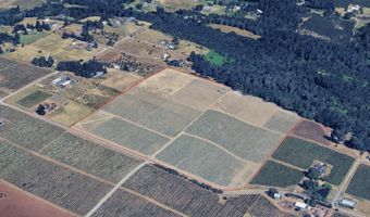 SE EOLA HILLS RD, Amity, OR 97101