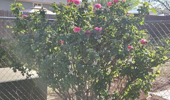 3145 W Citrus Rd, Benson, AZ 85602