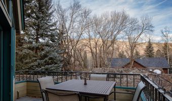 333 W Hopkins Ave, Aspen, CO 81611