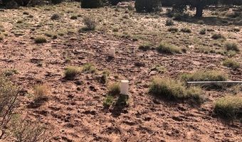 Tbd WICKED SISTERS, Concho, AZ 85924