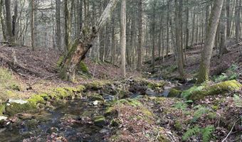 LOT 8 Benton Hill Rd, Becket, MA 01223