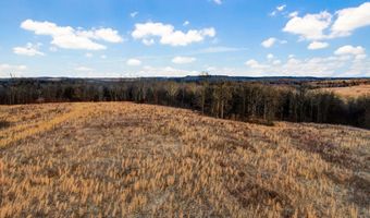 208 Cabin Rd, Ava, MO 65608