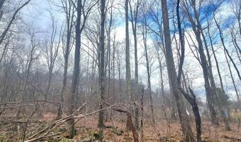 Glade Run Road, Albright, WV 26519
