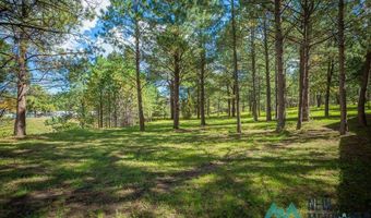 151 Alto Pines Trl, Alto, NM 88312